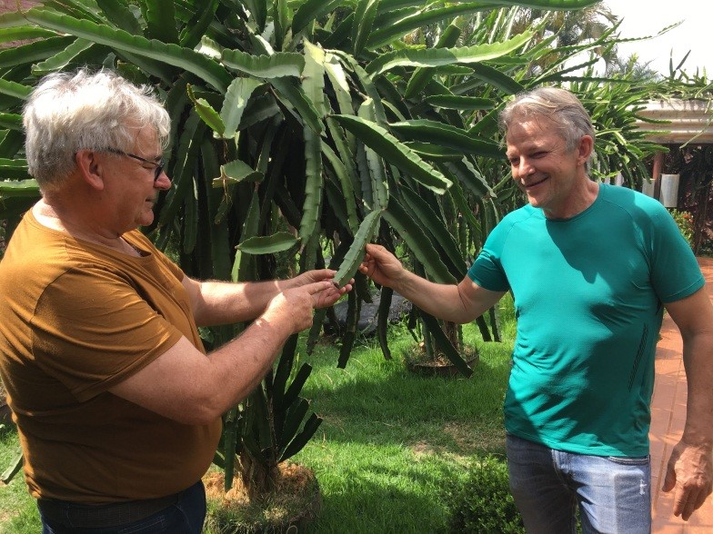 Com Dalmoro - Campo Grande /MS