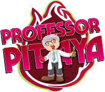 LOGO professor